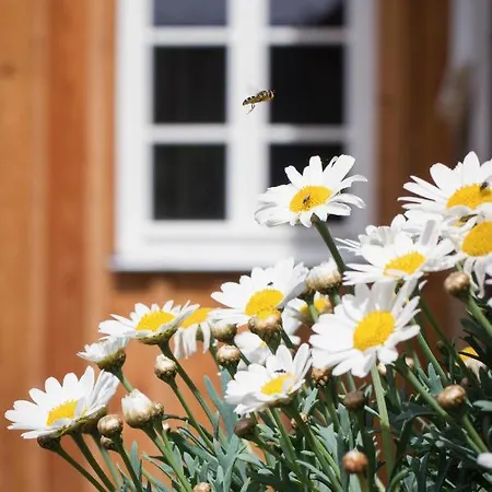 Appartamento Kulturdenkmal Umgebinde1657 Bad Schandau