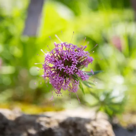 Kulturdenkmal Umgebinde1657