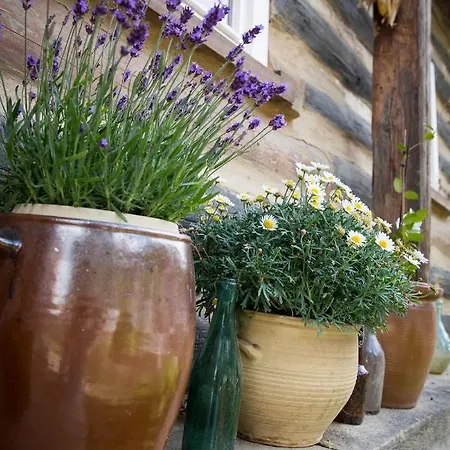 Appartamento Kulturdenkmal Umgebinde1657