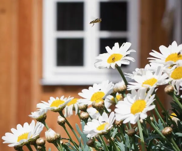 Апартаменты Kulturdenkmal Umgebinde1657 Бад-Шандау