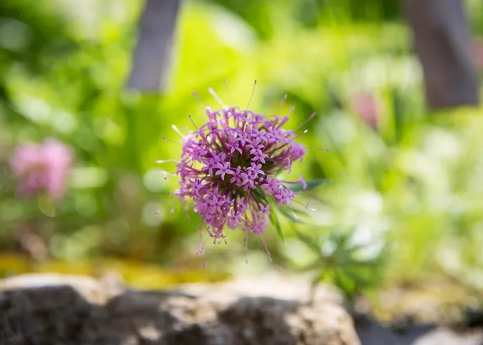 Kulturdenkmal Umgebinde1657